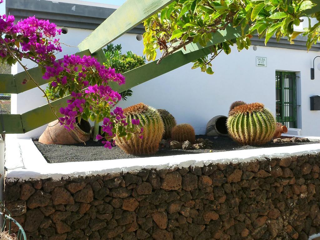 Apartamentos Guacimeta Matagorda  Exteriör bild