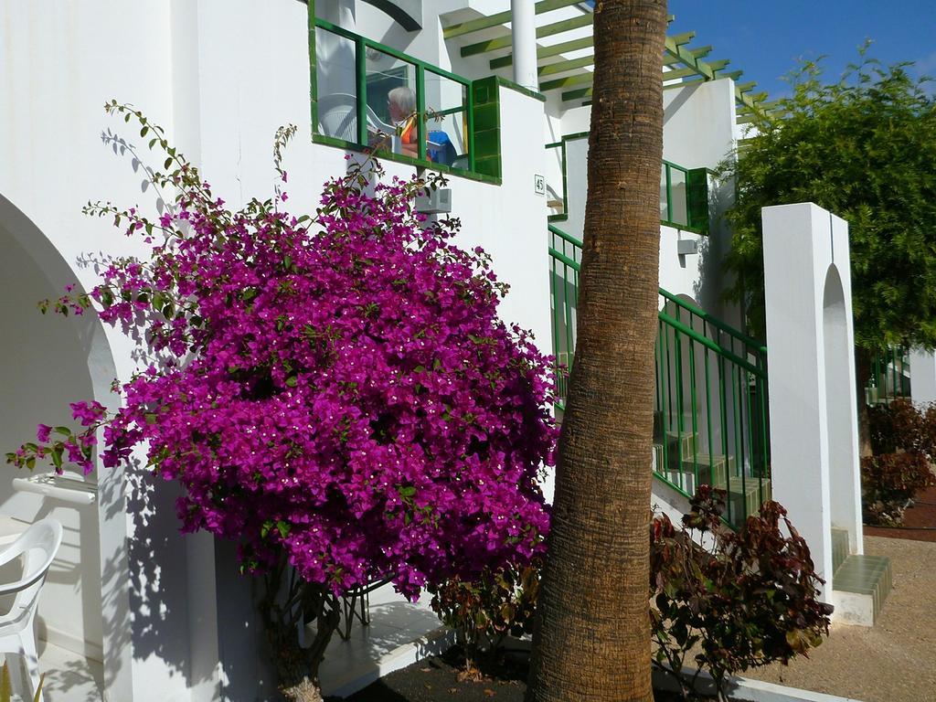 Apartamentos Guacimeta Matagorda  Exteriör bild